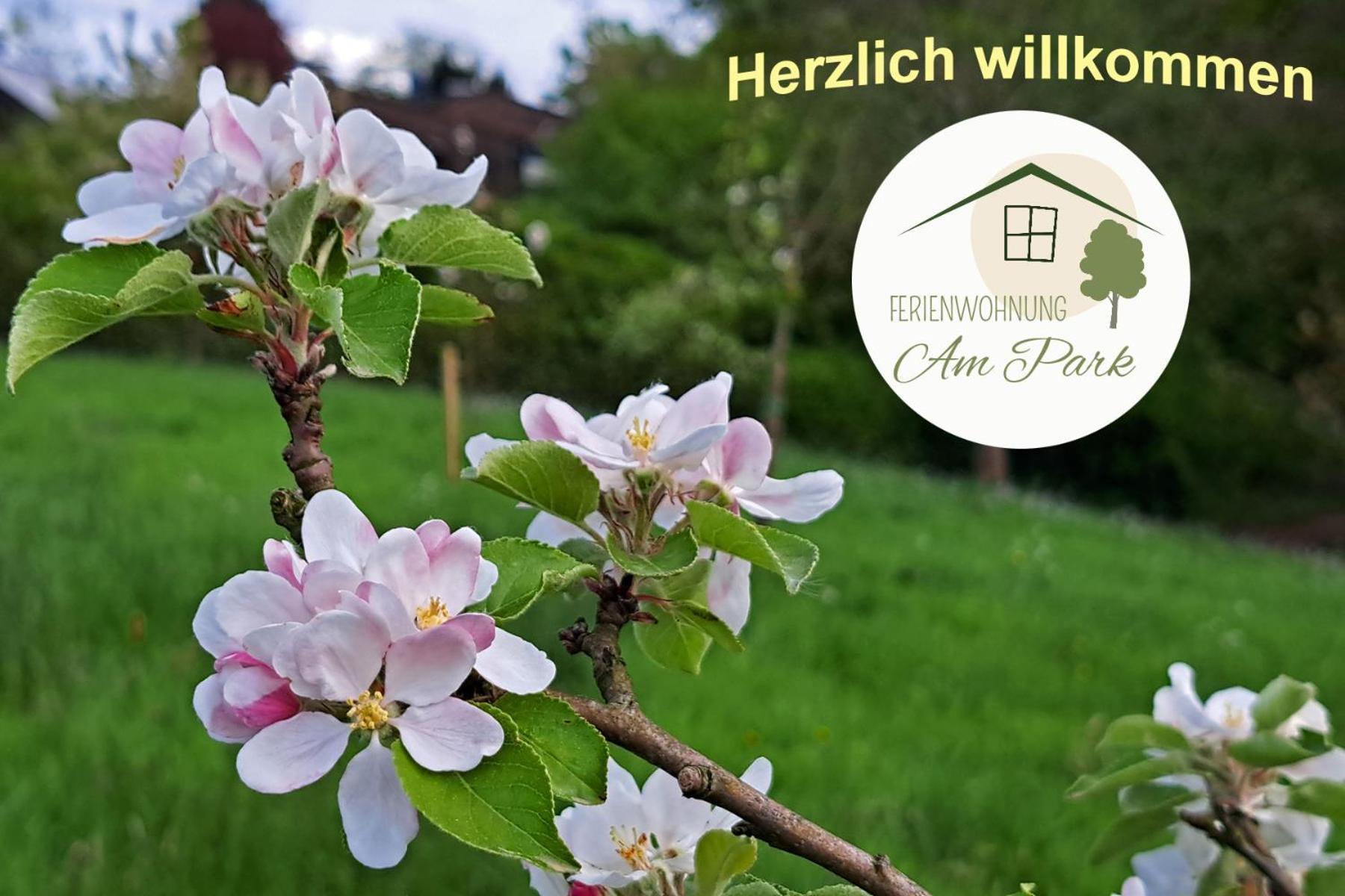 Grosszuegige Wohnung Am Comberg-Park Метман Екстериор снимка